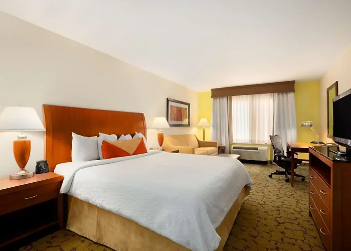 Hotel Hilton Garden North/perimeter Center 3*