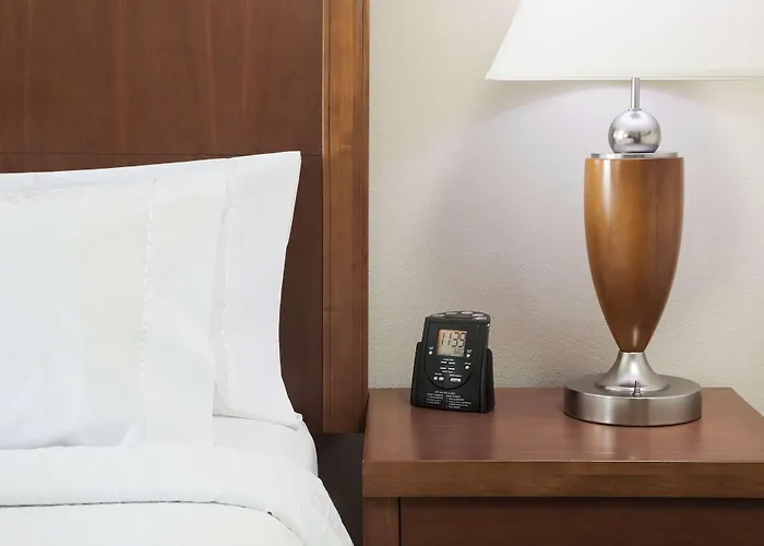 Hilton Garden North/perimeter Center 3*