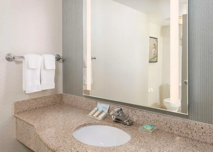 Hotel Hilton Garden North/perimeter Center 3*