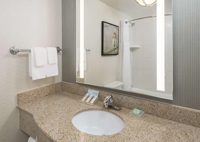 Hotel Hilton Garden North/perimeter Center 3*