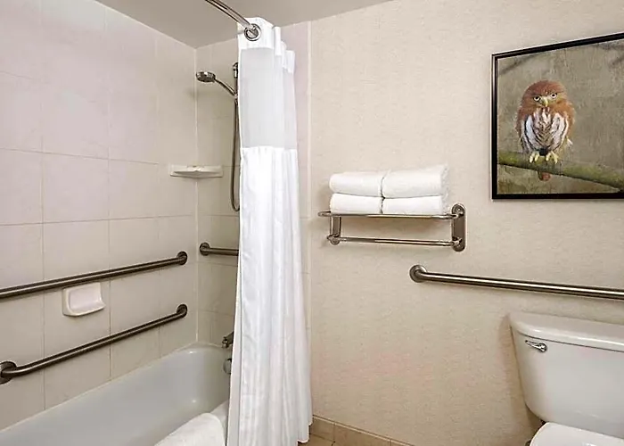 Hilton Garden North/perimeter Center Scottsdale