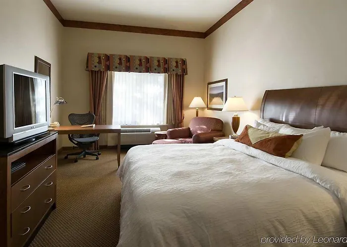 Hilton Garden North/perimeter Center Hotel 3*
